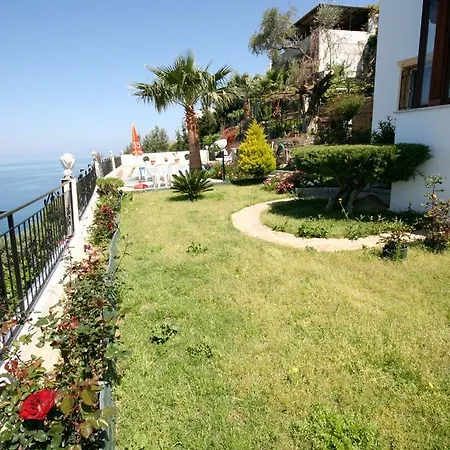 Important Group | Bd456 High Privacy 3 Bedroom Villa *